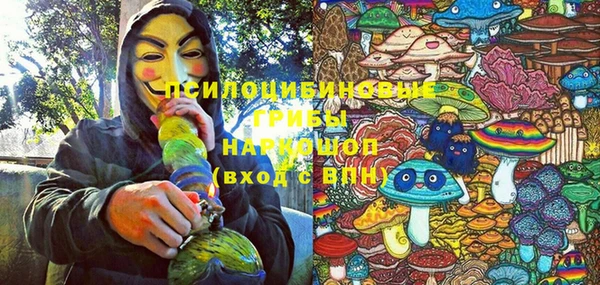 прущая мука Алзамай