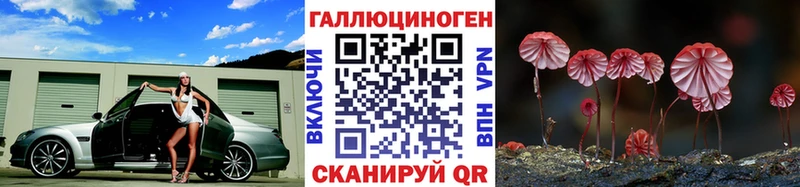 Псилоцибиновые грибы Cubensis  kraken маркетплейс  Анадырь  купить закладку 